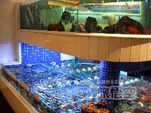 金苑 海鮮火鍋酒家 珠海