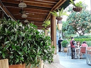 勝記 花園城店 深セン 深圳